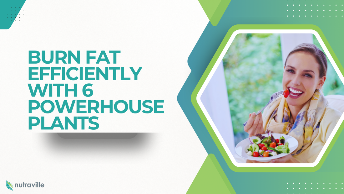 Burn Fat Efficiently with 6 Powerhouse Plants