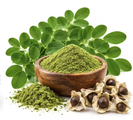 Moringa leaves, powder and seeds