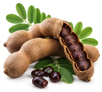 Tamarind pods and seeds