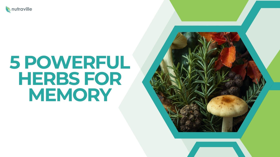 5 Powerful Herbs for Memory