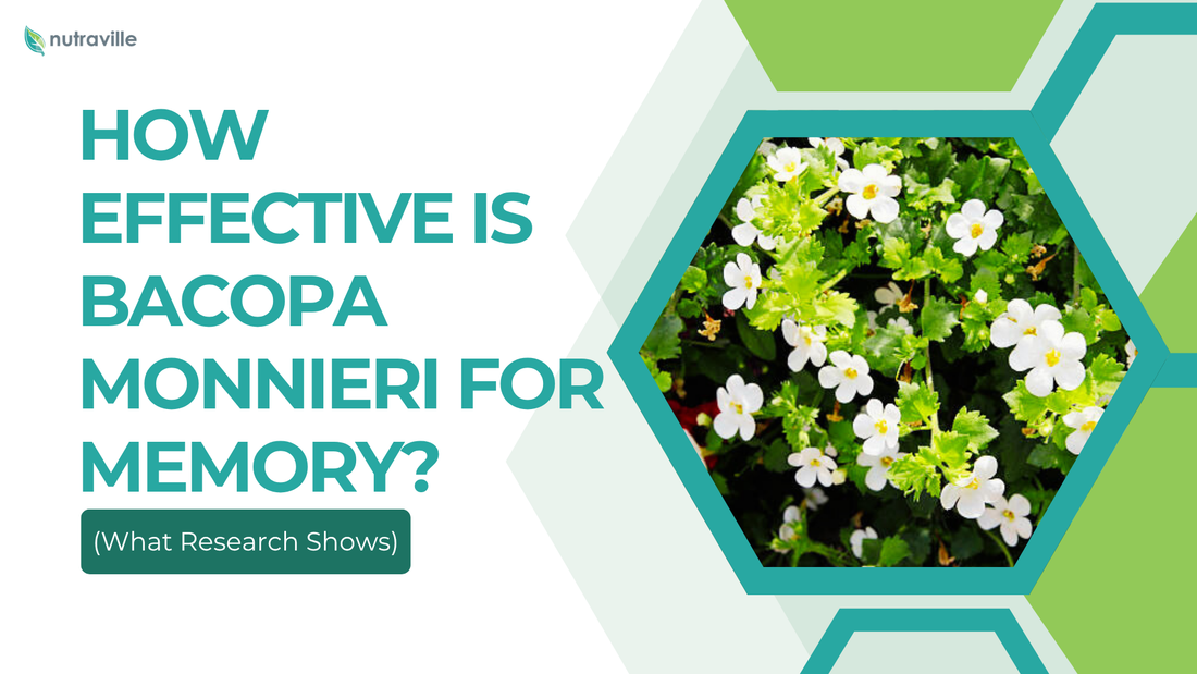 How Effective Is Bacopa Monnieri for Memory? What Research Shows