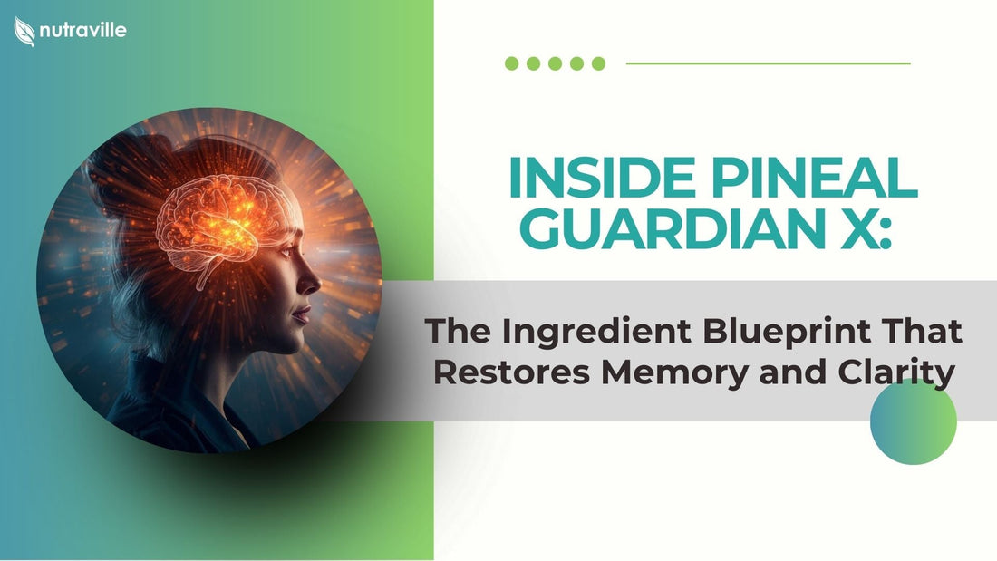 Inside Pineal Guardian X: The Ingredient Blueprint That Restores Memory