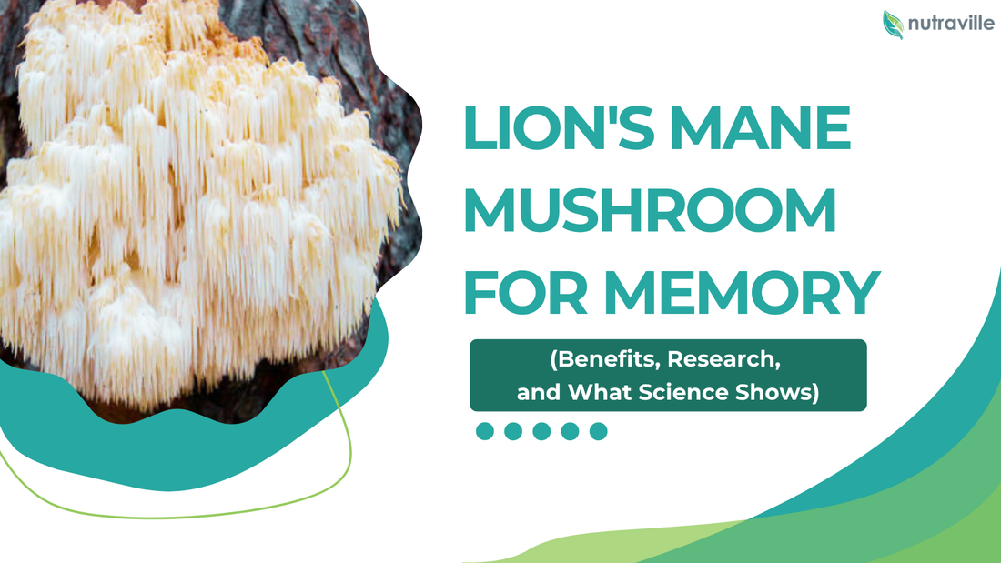 Lion's Mane Mushroom for Memory: Benefits, Research, and What Science Shows