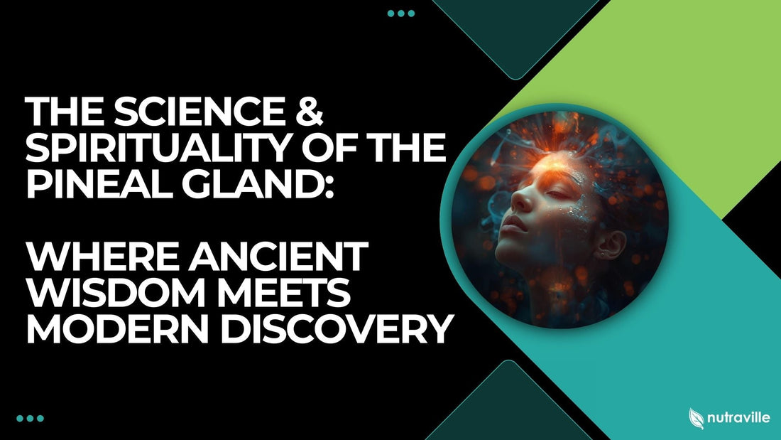 The Science & Spirituality of the Pineal Gland: Where Ancient Wisdom Meets Modern Discovery