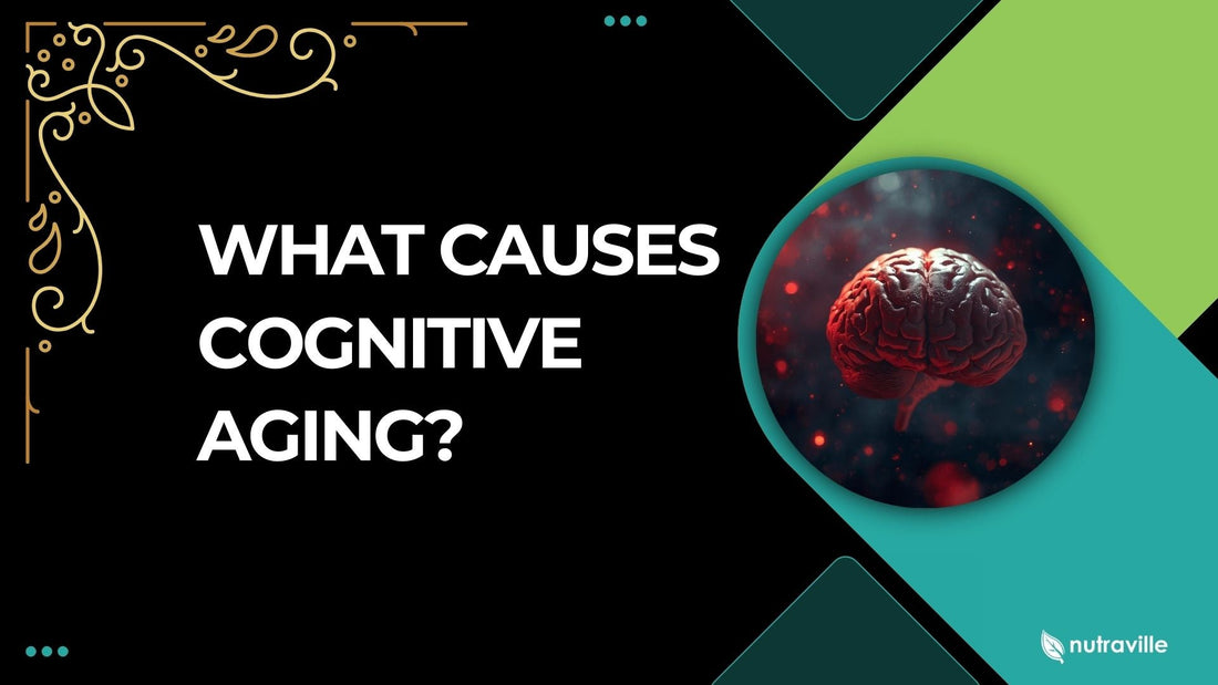 What Causes Cognitive Aging?