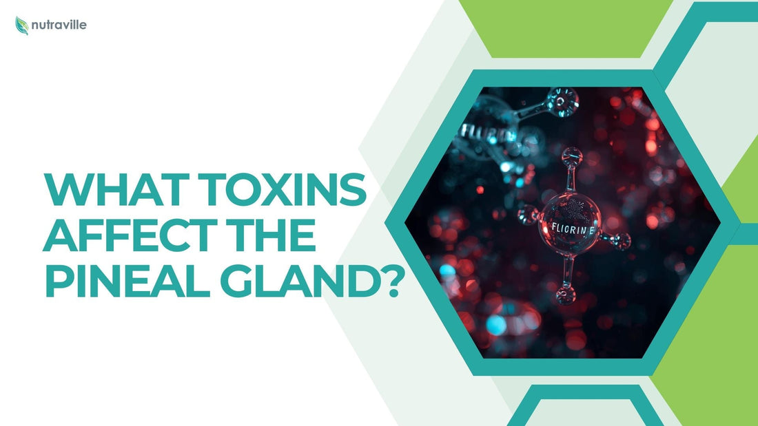 What Toxins Affect the Pineal Gland?