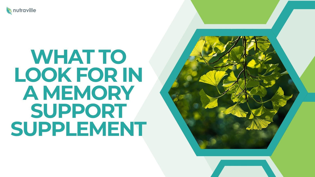 What to Look for in a Memory Support Supplement