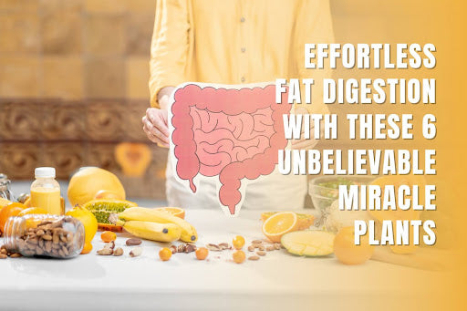 Effortless Fat Digestion with These 6 UNBELIEVABLE Miracle Plants