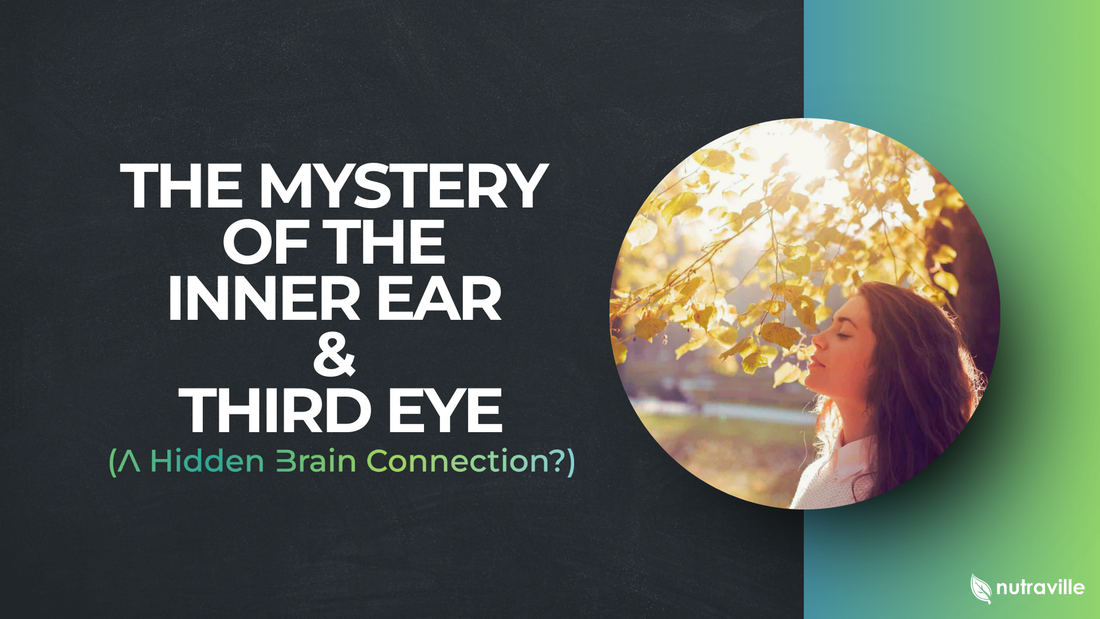 The Mystery of the Inner Ear & Third Eye: A Hidden Brain Connection?