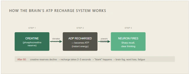 atp-system