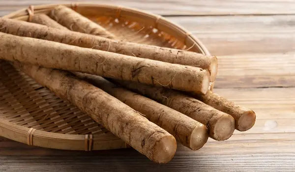 burdock-mb