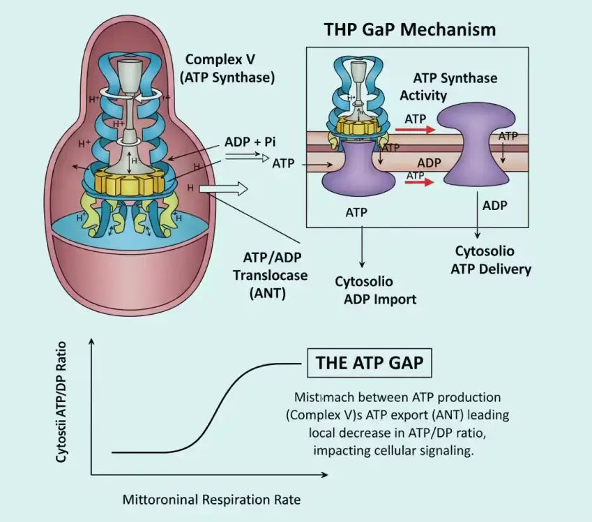 gap-mechanism