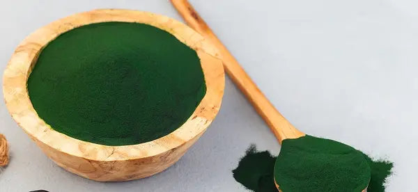 chlorella-mb