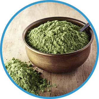 chlorella