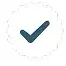 disc-icon