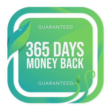 365-days2