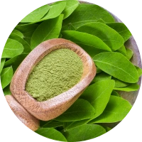 Moringa