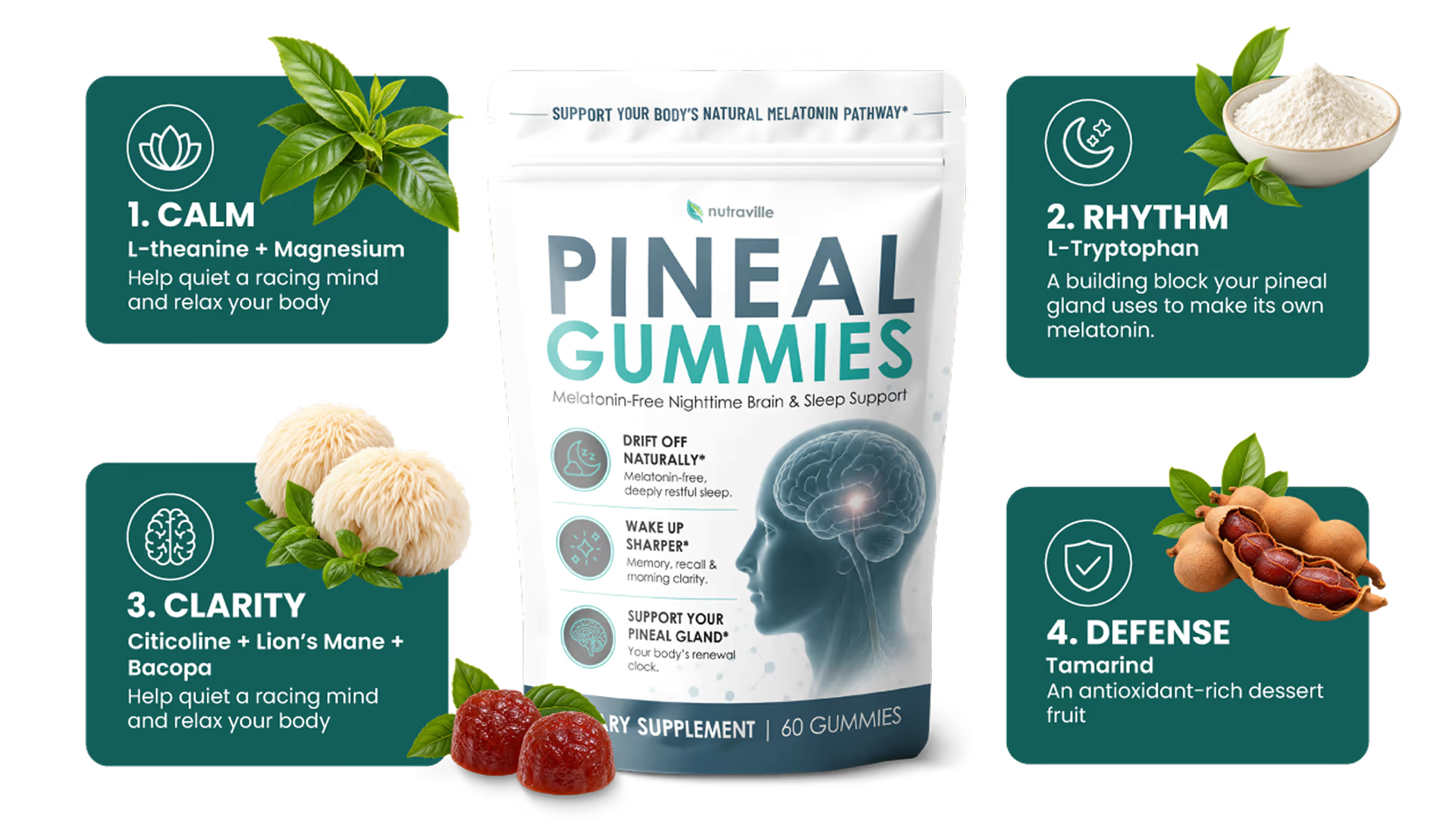 Pineal Gummies ingredients: 1. Calm – L-theanine + Magnesium, 2. Rhythm – L-Tryptophan, 3. Clarity – Citicoline + Lion's Mane + Bacopa, 4. Defense – Tamarind