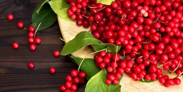 schisandra-mb