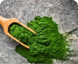 ingredient