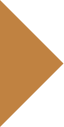 pgx-btl