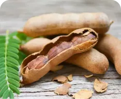 ingredient